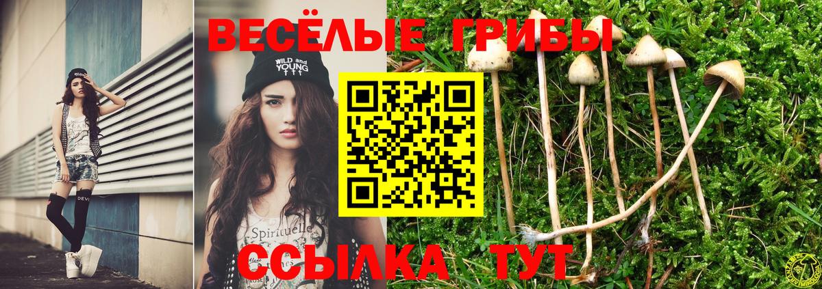 Псилоцибиновые грибы мухоморы Кирово-Чепецк
