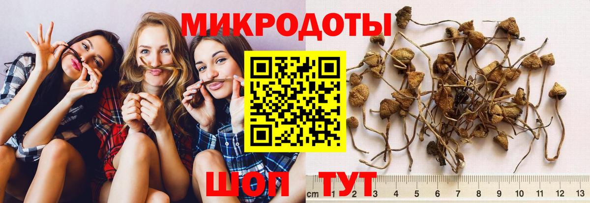 Кирово-Чепецк  Галлюциногенные грибы Psilocybine cubensis  Псилоцибиновые грибы ЛСД  Вход с VPN 